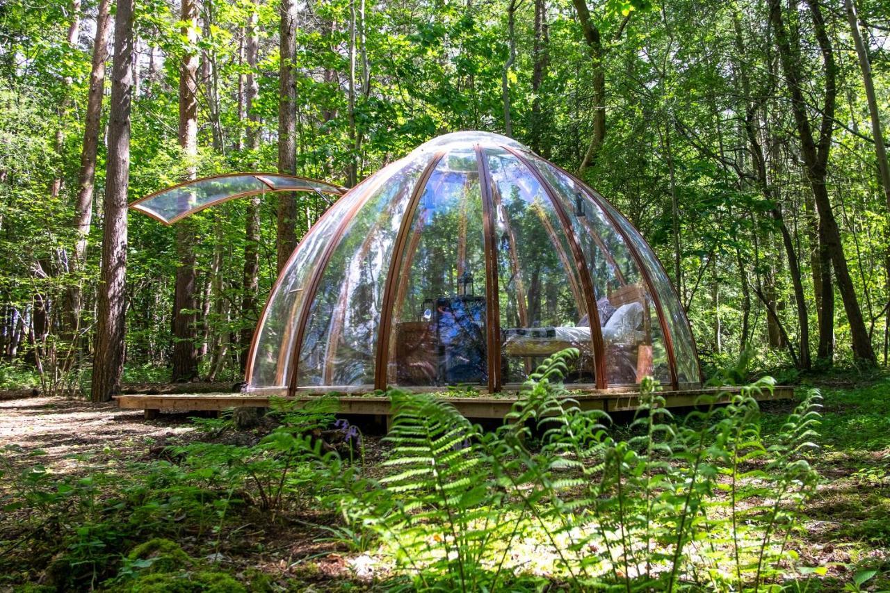 Camp Katur Glamping Hotel Carthorpe ภายนอก รูปภาพ