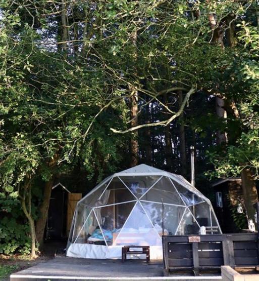 Camp Katur Glamping Hotel Carthorpe ห้อง รูปภาพ